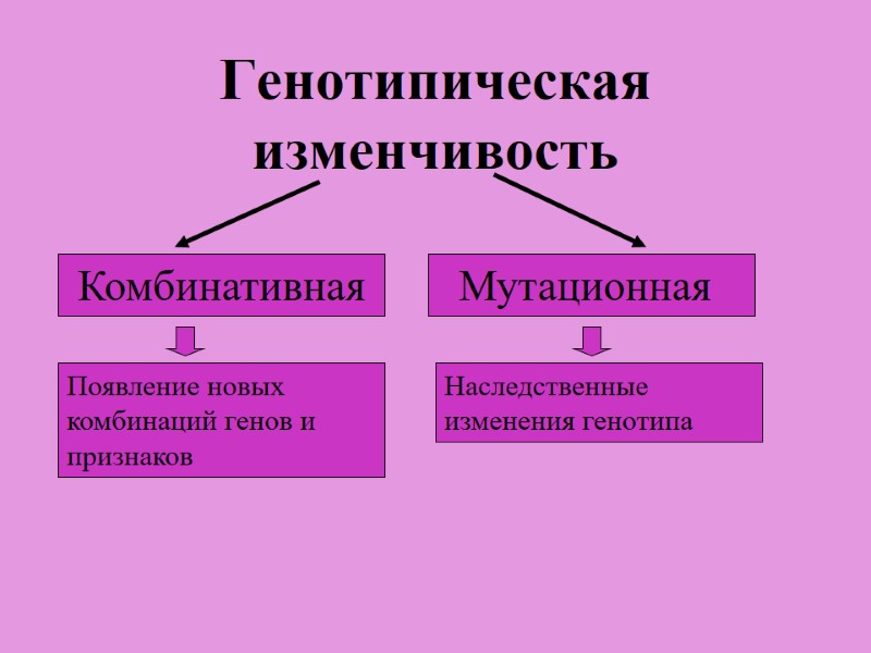 Генотипическая изменчивость  Комбинативная  Комбинативная   Мутационная Появление новых комбинаций генов и